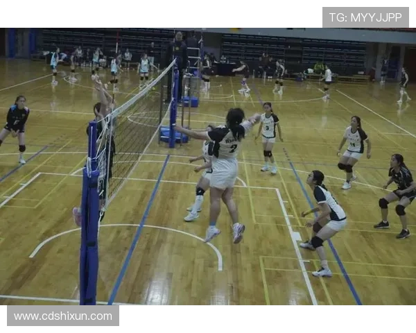 武汉排球队的个人能力揭秘:排球巨献背后的故事与训练秘诀